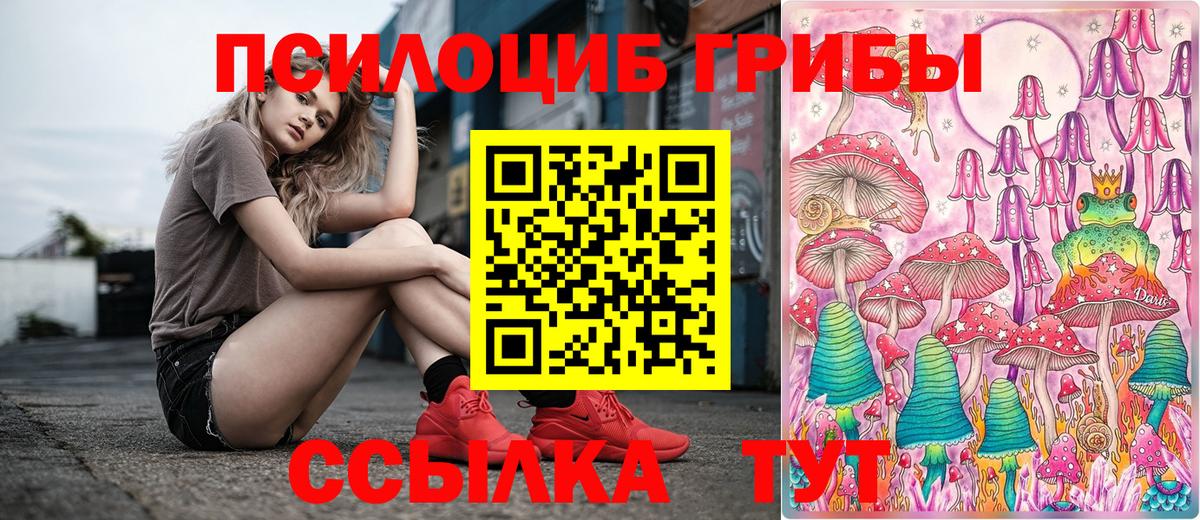 закладки  Псилоцибиновые грибы прущие грибы  Вход с VPN  Йошкар-Ола 